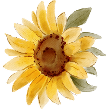 Illustration of a yellow sunflower with green leaves on a white background