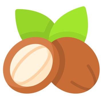 Fruit Illustrations on white background